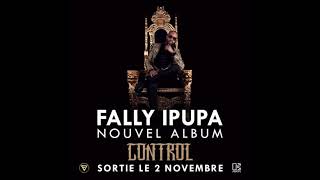 Fally Ipupa  Sans Amour  Control [upl. by Prissie615]