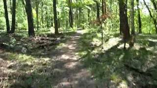 Mountain Biking in the Grunewald Berlin Germany [upl. by Emmalynne]