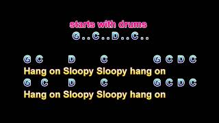 Hang On Sloopy The McCoys [upl. by Nairehs820]