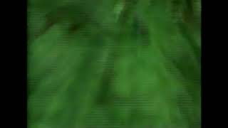 Cool Mint Listerine quotTarzan Boyquot commercials 1993 [upl. by Allanson]