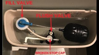 Replacing Fill Valve amp Flush Valve for Mansfield Toilet [upl. by Steinway]