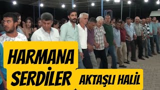 AKTAŞLI HALİL amp HARMANA SERDİLER KUMLU İLÇESİ [upl. by Aiouqahs320]