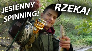 JESIENNY SPINNING NA RZECE POSZUKIWANIE KLENI GOŚCINNIE BER GAR [upl. by Ailak]