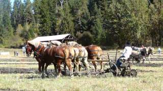 Annual Plowing Competition in Armstrong [upl. by Nyladam]