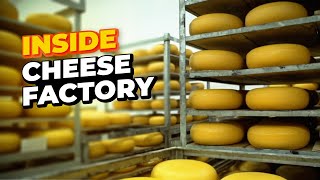 HOW CHEESE IS MADE – World Known Factories [upl. by Vod]