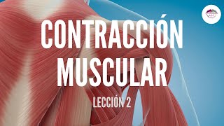 2 CONTRACCIÓN MUSCULAR FISIOLOGÍA MUSCULAR [upl. by Akinahs]