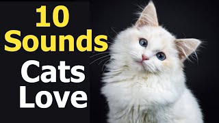 10 Sounds Cats Love To Hear The Most [upl. by Ailen]