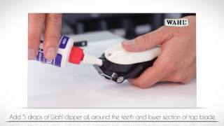 How to Oil your Wahl Clipper Blade [upl. by Leann]