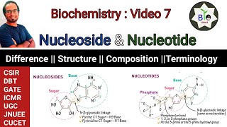 What is Nucleotide  What is Nucleoside  Difference between Nucleotide amp Nucleoside  CSIR DBT [upl. by Mezoff]