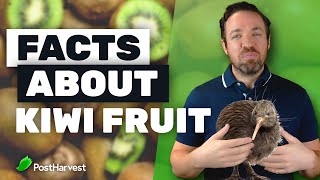 Top 7 Facts About Kiwi Fruit [upl. by Blodget]