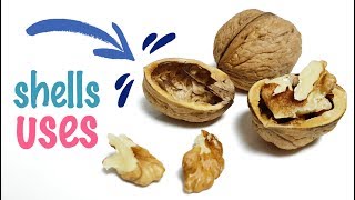 8 Walnut Shells Uses And Applications  How To Use Walnut Shells [upl. by Akalam]