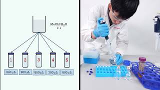 How to Set up HPLC Calibration Method  Internal Standard Calibration with Shimadzu LabSolutions [upl. by Rehtaef]