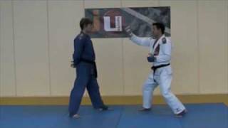 Lesson 2  Gyaku Tsuki Atemi Fighting  JiuJitsu Fighting Lesson JJIF Basics Part 1 [upl. by Hertberg]