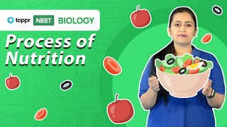 Process of Nutrition  NEET 2021 Biology  Toppr NEET [upl. by Nivi821]