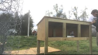 How to build a BIG rabbit hutch [upl. by Iztim]