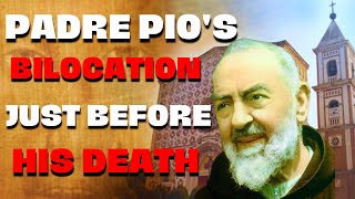 The Legendary Bilocation Of Padre Pio amp Padre Domenico Da Cese [upl. by Yesnikcm]