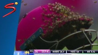 South Africa vs Sri Lanka  Bees Swarm Cricket Field During Pink ODI  SuperSport [upl. by Malik]