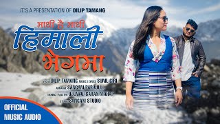 quotMathi Hai Mathi Himali Bhegaima  Dilip Tamang  Sunil Giri  Official Music Audioquot [upl. by Hannah]