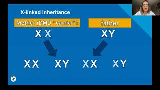 Genetics and Duchenne Muscular Dystrophy [upl. by Edia788]