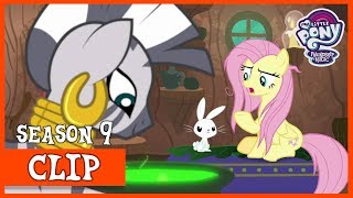 Fluttershy and Angels Friendship Therapy with Zecora She Talks to Angel  MLP FiM HD [upl. by Hsital]