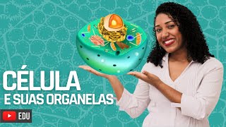 Aula Célula e suas organelas [upl. by Maddalena18]