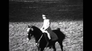 Zeitreise zu Pferd Die Celler Hengstparade 1955  Teil 4 [upl. by Anad]