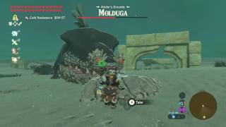 Zelda Breath of the Wild  Fastest way to kill Molduga [upl. by Moselle]