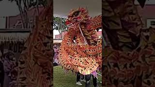 Chinese Dragon Dance [upl. by Idorb]