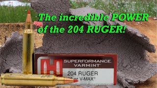 Testing the destructive capabilities of the 204 Ruger [upl. by Eiclud332]