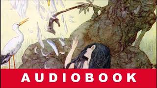 The Marsh Kings Daughter by H C Andersen  Fairy Tale  Audiobook [upl. by Esiouqrut72]