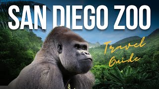 San Diego Zoo FULL TOUR the 10 Best Things to Do 4k [upl. by Atnas]