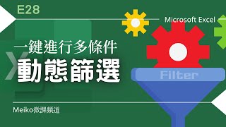 Excel 教學 E28  一鍵進行多條件動態篩選，篩選符合條件的記錄 Filter進階篩選 [upl. by Geis]