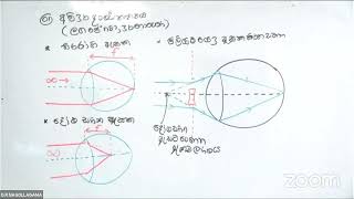 2024 LIGHT PRAKASHA UPAKARANA DAY0203 [upl. by Blackwell]