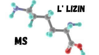 Llizin  multipla skleroza [upl. by Clarisa508]