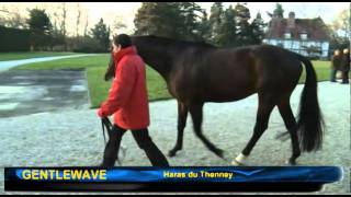 Haras du Thenney [upl. by Dowdell480]