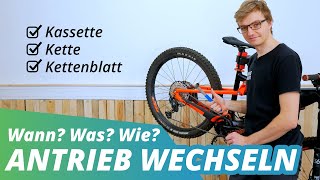 Antrieb wechseln am EBike  Kassette Kette Kettenblatt  Tutorial 🔧 [upl. by Subocaj721]