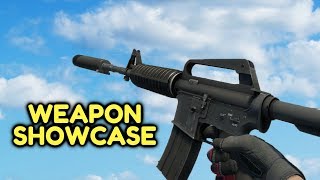 CSGO  All Weapons Showcase [upl. by Acilef]