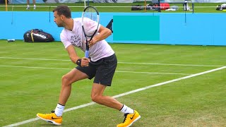 Grigor Dimitrov Tennis in Slow Motion  ATP Forehand  Backhand  Volleys [upl. by Surazal]