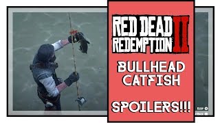 Red Dead Redemption 2 Legendary Bullhead Catfish Location SPOILERS [upl. by Eissim]