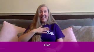 Lesson 7  British Sign Language for feelings England [upl. by Kcirdle]