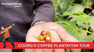 Coffee Plantation Tour in Coorg  RoadtrippinWithRocky S4  D07V03 [upl. by Anitsirc]