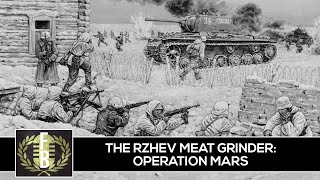 The Rzhev Meat Grinder Operation Mars World War 2 Eastern Front [upl. by Laniger294]