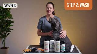 4 Steps to Grooming your Pet at Home [upl. by Domeniga426]