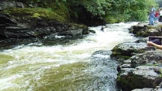 River Dee Trip Serpents Tail August 2014 [upl. by Kenay]