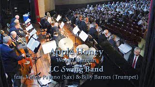 Swingtime Big Band  Skyliner [upl. by Elockin]