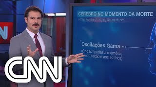 Entenda o funcionamento do cérebro no momento da morte  Correspondente Médico [upl. by Margetts]