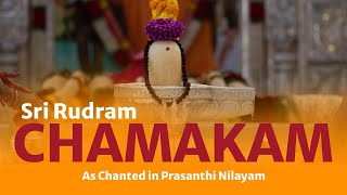 Sri Rudram  Chamakam with Lyrics amp Meaning [upl. by Esir]