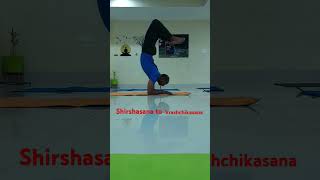 Shirshasana to Vrashchikasana Shirshasana Vrashchikasana advanceyoga wholebodyworkout [upl. by Gilud]