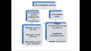 Hemato 09Hémostase primaire Purpura thrombopénique immunologique PTI Dr Abbadi [upl. by Eelarbed]