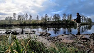 Laxfiske i Lagan  3 stora laxar och en gädda [upl. by Abroms]